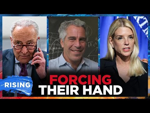 Schumer, Senate Dems Invoke OBSCURE LAW to FORCE DOJ to TURN OVER Epstein Files | RISING