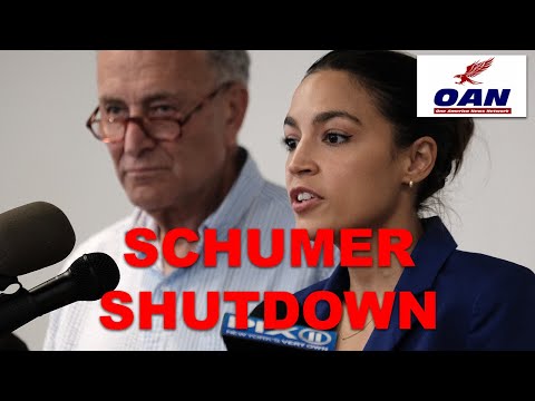 DEMOCRATS ACCUSED OF SHUTTING DOWN GOVERNMENT TO PROTECT SCHUMER