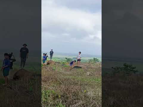 top of the hill