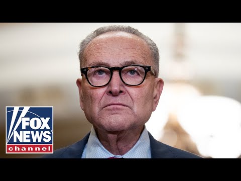 ‘TIME FOR NEW LEADERSHIP’: Dems turn on Chuck Schumer as party civil war ERUPTS