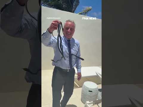 'Those are dangerous!': RFK Jr. shares WILD video… #rfkjr #shorts #snake