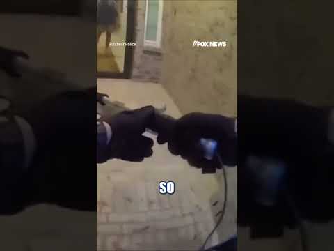 Homeowner comes FACE-TO-FACE with alligator at front door #foxnews #news #shorts #house #animals