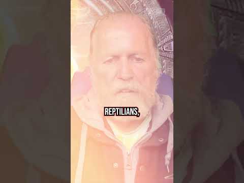 What Is the Purpose of the Reptilians?