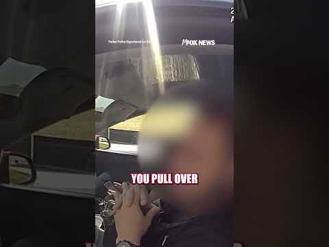Tesla driver FIGHTS TICKET after blaming autopilot for speeding #foxnews #news #us #fox