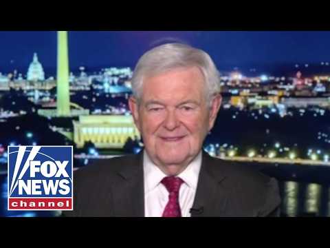 Newt Gingrich: How do they find these people?